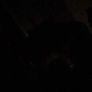 Meet your Posher, Valerie